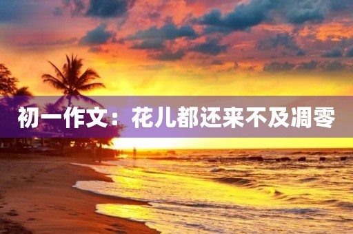 初一作文:花儿都还来不及凋零 初一作文:花儿都还来不及凋零