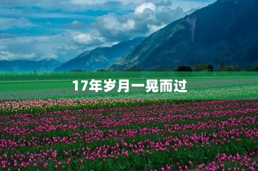 17年岁月一晃而过 17年岁月一晃而过