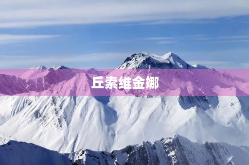 丘索维金娜 丘索维金娜