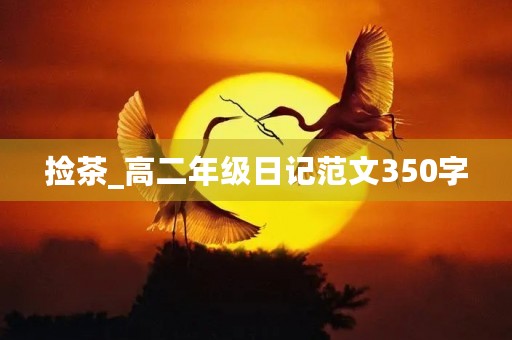 捡茶_高二年级日记范文350字 捡茶_高二年级日记范文350字