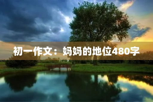 初一作文：妈妈的地位480字
