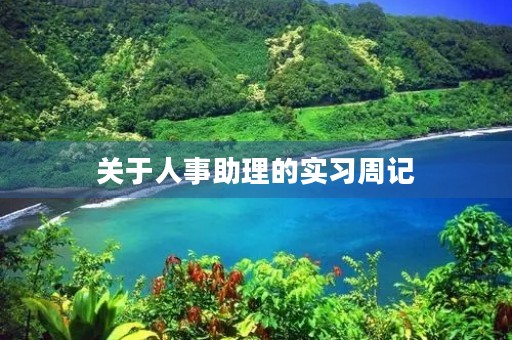关于人事助理的实习周记 关于人事助理的实习周记