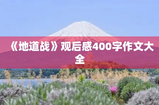 《地道战》观后感400字作文大全 《地道战》观后感400字作文大全