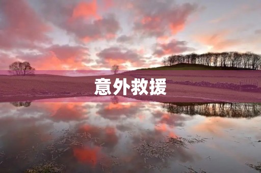 意外救援 意外救援