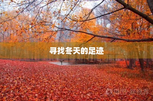 寻找冬天的足迹 寻找冬天的足迹
