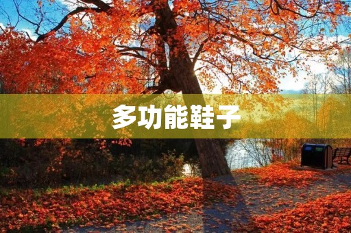 多功能鞋子 多功能鞋子