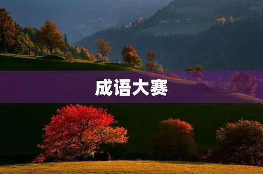 成语大赛 成语大赛