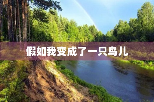 假如我变成了一只鸟儿 假如我变成了一只鸟儿