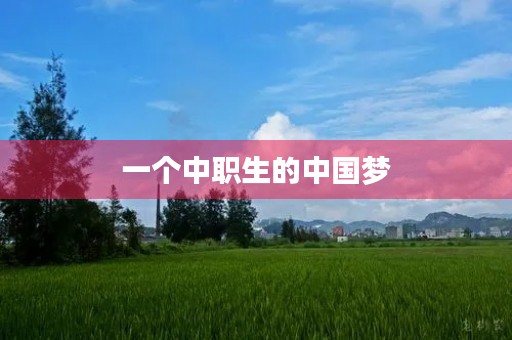 一个中职生的中国梦 一个中职生的中国梦