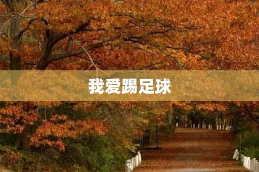 我爱踢足球 我爱踢足球