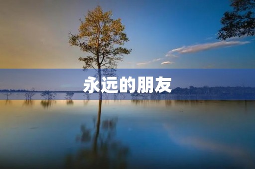 永远的朋友 永远的朋友
