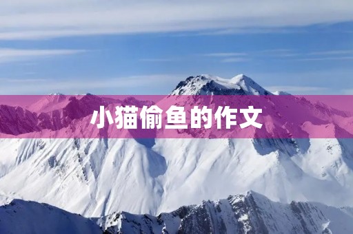 小猫偷鱼的作文