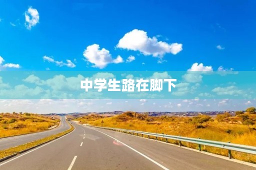 中学生路在脚下 中学生路在脚下
