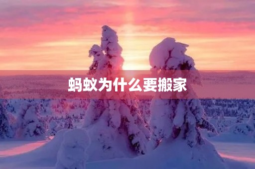 蚂蚁为什么要搬家 蚂蚁为什么要搬家
