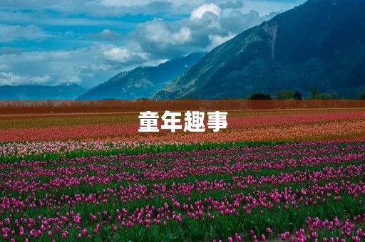 童年趣事 童年趣事