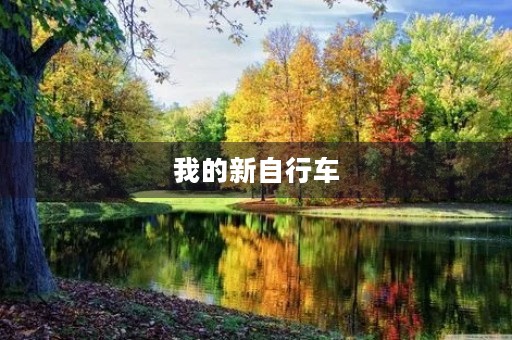 我的新自行车 我的新自行车
