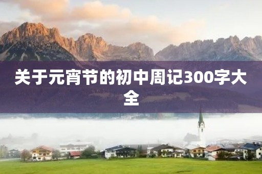 关于元宵节的初中周记300字大全