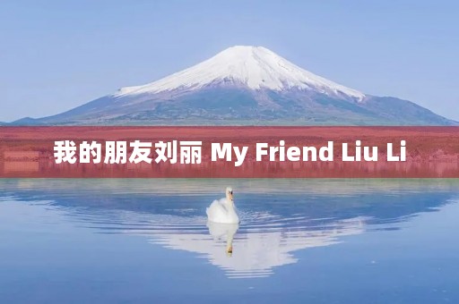 我的朋友刘丽 My Friend Liu Li 我的朋友刘丽 My Friend Liu Li