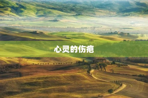 心灵的伤疤 心灵的伤疤