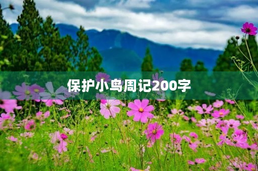 保护小鸟周记200字 保护小鸟周记200字