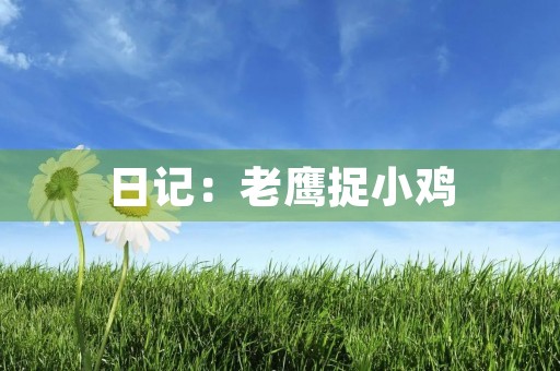 日记:老鹰捉小鸡 日记:老鹰捉小鸡