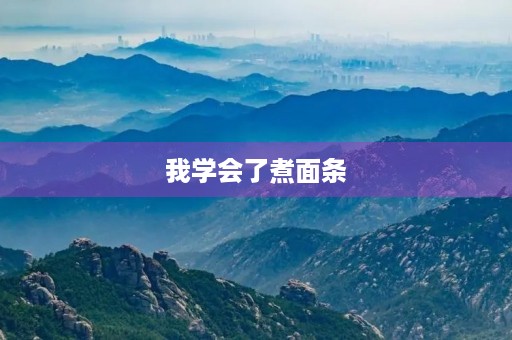 我学会了煮面条 我学会了煮面条