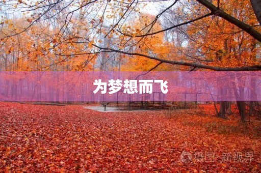 为梦想而飞