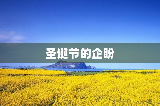 圣诞节的企盼