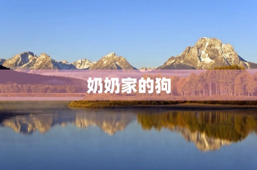 奶奶家的狗