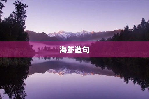 海虾造句