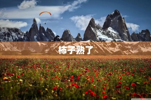 柿子熟了 柿子熟了