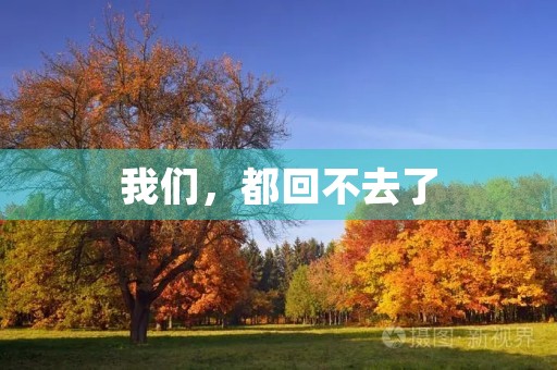 我们，都回不去了