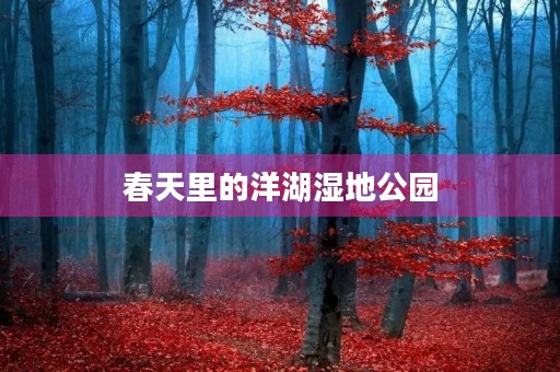 春天里的洋湖湿地公园 春天里的洋湖湿地公园