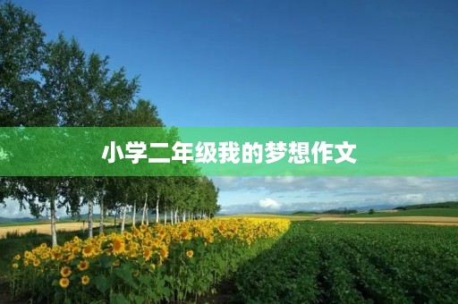 小学二年级我的梦想作文 小学二年级我的梦想作文