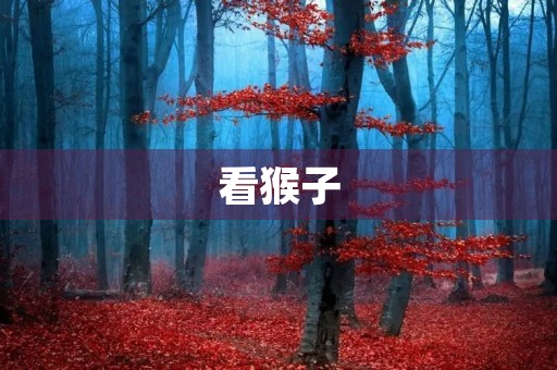 看猴子