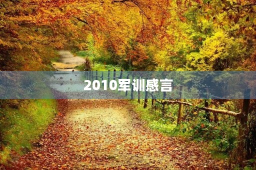 2010军训感言 2010军训感言