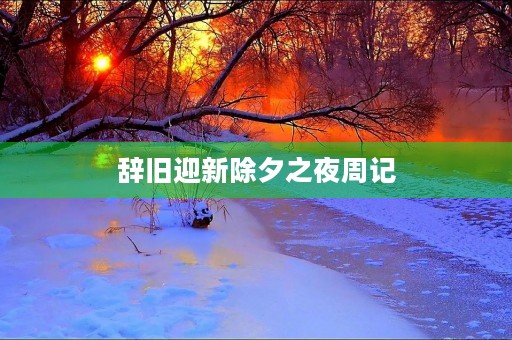 辞旧迎新除夕之夜周记