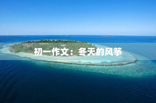 初一作文：冬天的风筝