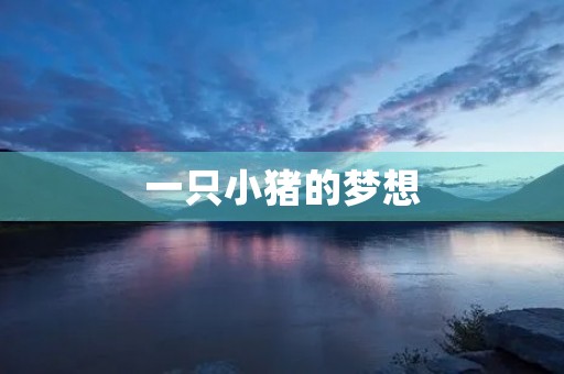 一只小猪的梦想 一只小猪的梦想