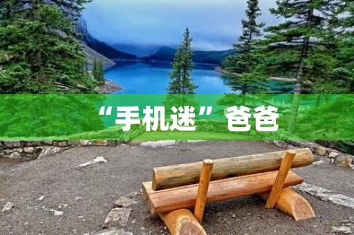 “手机迷”爸爸