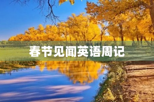 春节见闻英语周记 春节见闻英语周记