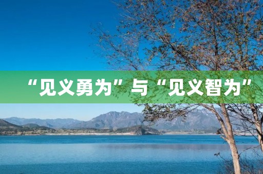 “见义勇为”与“见义智为” “见义勇为”与“见义智为”