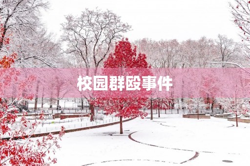 校园群殴事件 校园群殴事件