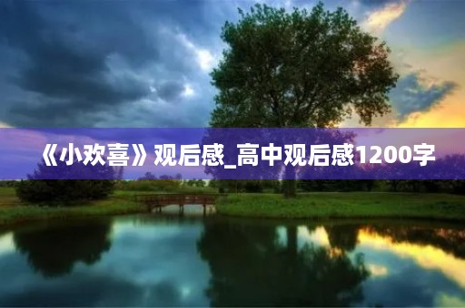《小欢喜》观后感_高中观后感1200字 《小欢喜》观后感_高中观后感1200字