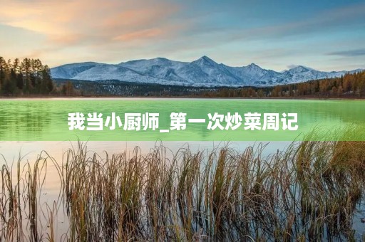 我当小厨师_第一次炒菜周记 我当小厨师_第一次炒菜周记