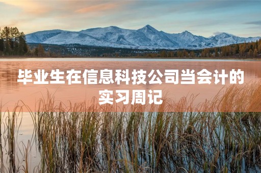 毕业生在信息科技公司当会计的实习周记 毕业生在信息科技公司当会计的实习周记