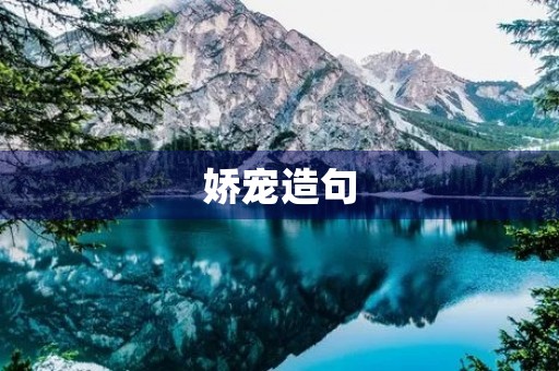 娇宠造句