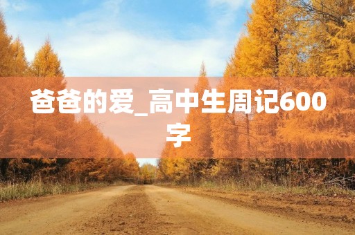 爸爸的爱_高中生周记600字