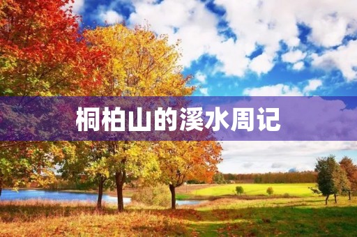 桐柏山的溪水周记 桐柏山的溪水周记