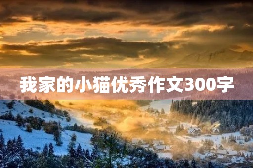 我家的小猫优秀作文300字